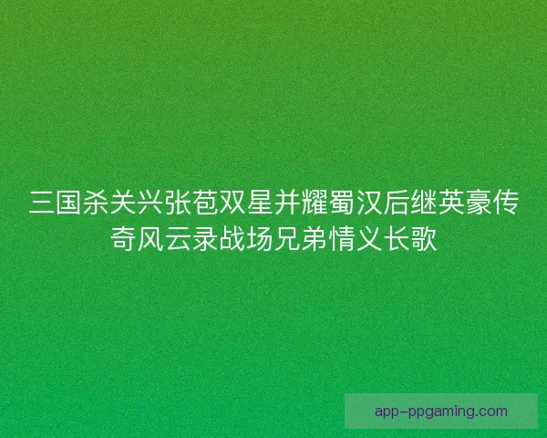 三国杀关兴张苞双星并耀蜀汉后继英豪传奇风云录战场兄弟情义长歌