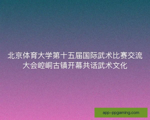 北京体育大学第十五届国际武术比赛交流大会崆峒古镇开幕共话武术文化